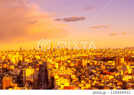 東京風景・夕日と都心の街並み 116899432