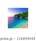 海の見える丘 116899444