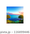 海の見える丘 116899446