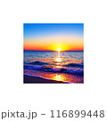 水平線に沈む夕日 116899448