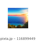 海の見える丘 116899449