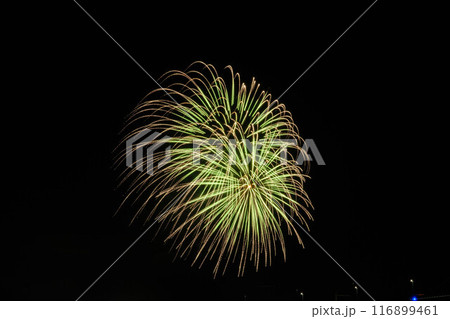 兵庫県芦屋市の夏祭りのフィナーレを飾る花火大会 116899461