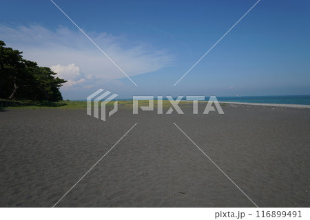 三保の松原（静岡県） 116899491