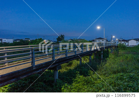 日本の岡山県岡山市の夏の朝の美しい風景 日本の岡山県岡山市の夏の朝の美しい風景 116899575