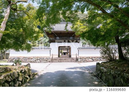 夏の京都　宇治 116899680