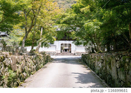 夏の京都　宇治 116899681