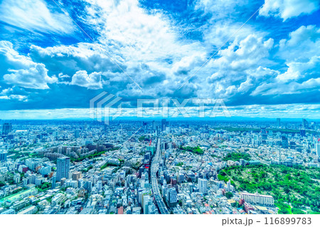 東京・地平線を望む都市風景 東京・地平線を望む都市風景 116899783