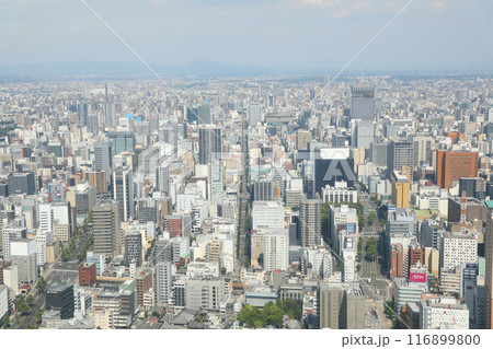名古屋の街並み 116899800