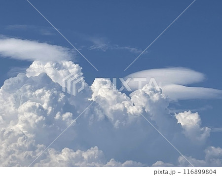 青い空にもくもくと並ぶ入道雲 116899804