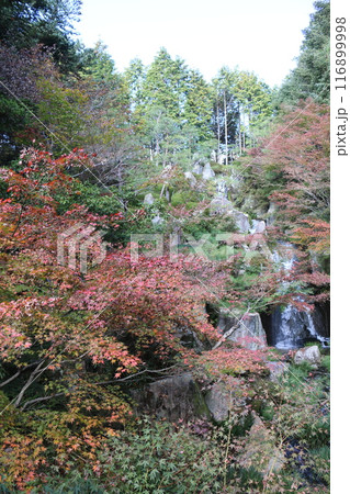 広島 三景園 広島 三景園 116899998