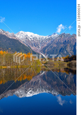 秋 上高地 大正池 秋 上高地 大正池 116900034
