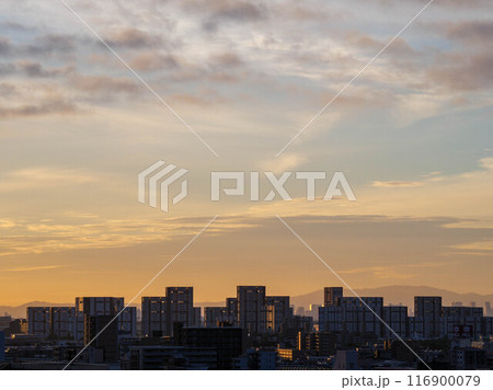 都市の夜明け。早朝神戸市のマンションの高層階より芦屋市のビル群をのぞむ 116900079