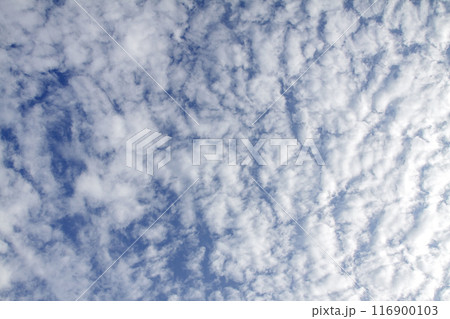 青空の天空に浮く雲の造形【背景素材】 青空の天空に浮く雲の造形【背景素材】 116900103