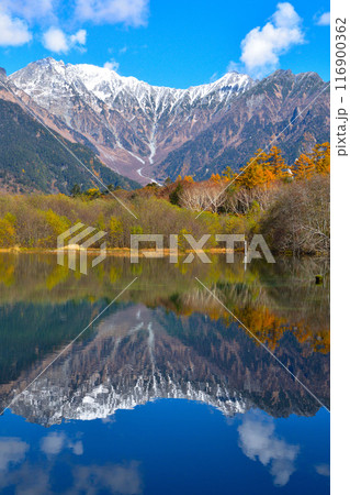 秋　上高地　大正池　 116900362