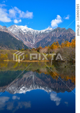 秋　上高地　大正池　 116900365