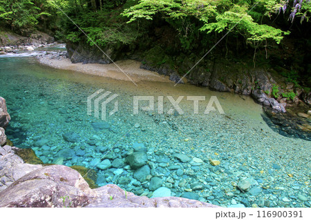日本遺産・阿寺渓谷・あてらけいこく（長野県・大桑村） 116900391