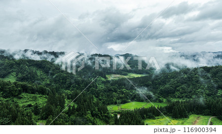 ドローン写真:霧がかった、雨天時の夏の山 ドローン写真:霧がかった、雨天時の夏の山 116900394