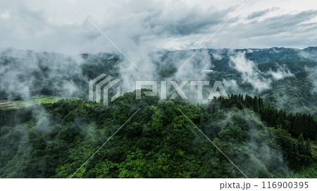 ドローン写真:霧がかった、雨天時の夏の山 ドローン写真:霧がかった、雨天時の夏の山 116900395