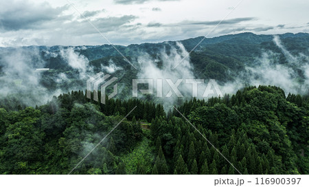 ドローン写真:霧がかった、雨天時の夏の山 ドローン写真:霧がかった、雨天時の夏の山 116900397
