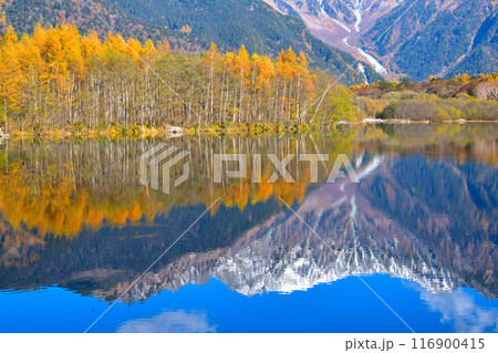 秋 上高地 大正池 逆さ穂高 秋 上高地 大正池 逆さ穂高 116900415