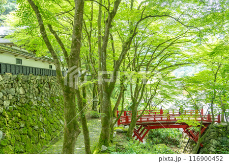 岐阜県揖斐川町 西美濃三十三霊場第一札所の新緑の横蔵寺の赤い橋 岐阜県揖斐川町 西美濃三十三霊場第一札所の新緑の横蔵寺の赤い橋 116900452