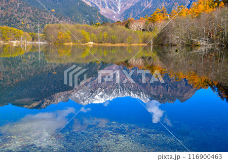 秋　上高地　大正池　逆さ穂高 116900463