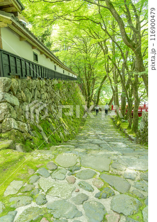 岐阜県揖斐川町　西美濃三十三霊場第一札所の新緑の横蔵寺の赤い橋 116900479