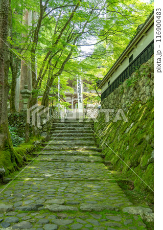 岐阜県揖斐川町　西美濃三十三霊場第一札所の新緑の横蔵寺の入り口 116900483