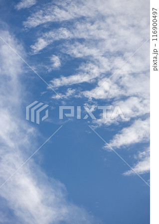 青い空と魚の骨のような変わった形の白い雲 青い空と魚の骨のような変わった形の白い雲 116900497