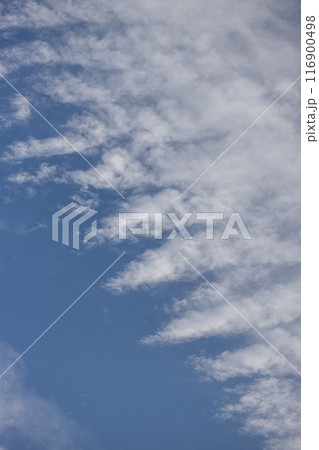 青い空と魚の骨のような変わった形の白い雲 青い空と魚の骨のような変わった形の白い雲 116900498