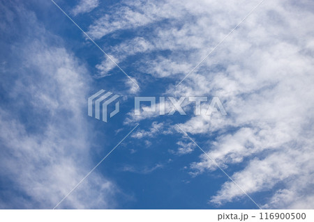 青い空と魚の骨のような変わった形の白い雲 青い空と魚の骨のような変わった形の白い雲 116900500