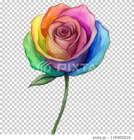 Rainbow Rose Flower Clipart Rainbow Rose Flower Clipart 116900816