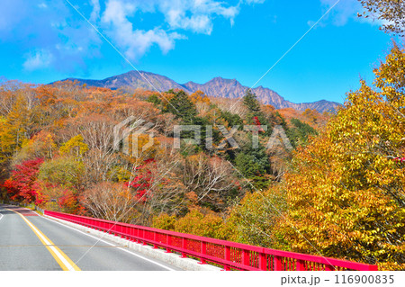 秋　川俣渓谷　東沢大橋 116900835