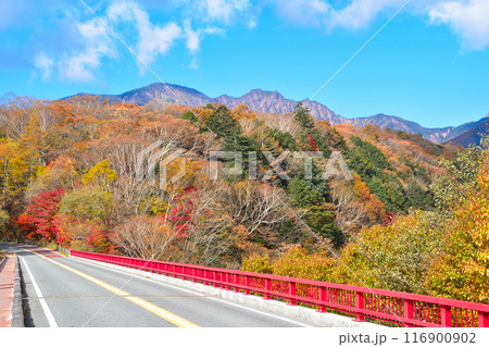 秋　東沢渓谷　東沢大橋 116900902