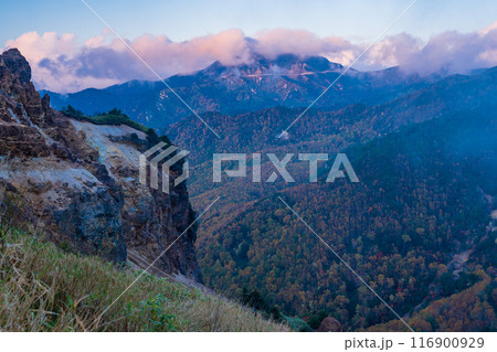 【群馬県】荒涼とした万座高原・立ち枯れた木　夕景 116900929