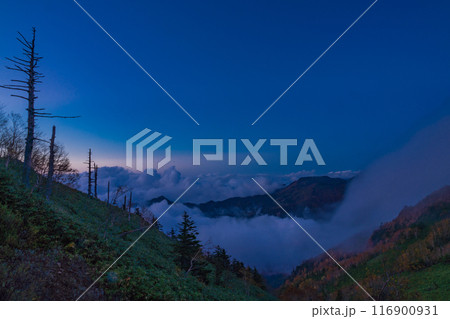 【群馬県】荒涼とした万座高原・立ち枯れた木　夕景 116900931