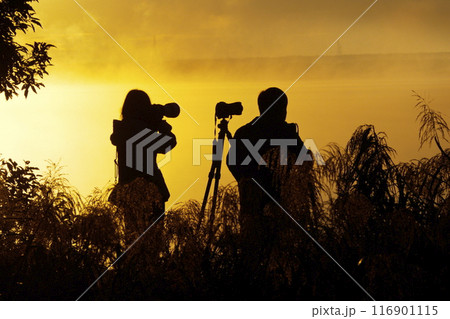 カメラマンのシルエット カメラマンのシルエット 116901115