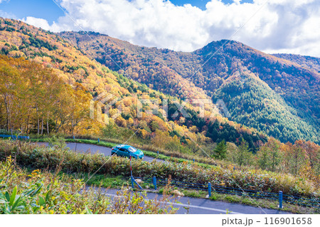 【群馬県】紅葉した万座温泉の山並み 秋 【群馬県】紅葉した万座温泉の山並み 秋 116901658