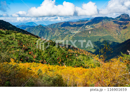 【群馬県】紅葉した万座温泉の山並み　秋 116901659