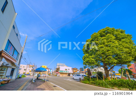 日本の二宮都市景観　7月。JR東海道本線　二宮駅前などを望む＝令和6年7月22日 116901964