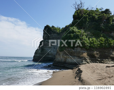 小浦海岸　　（千葉県御宿町） 116902891
