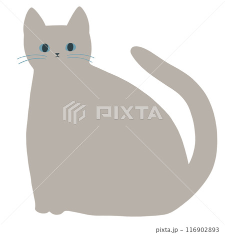 座る灰色の猫 座る灰色の猫 116902893