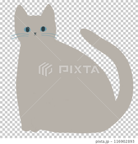 座る灰色の猫 座る灰色の猫 116902893