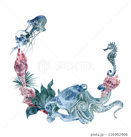 Watercolor and ink hand drawn marine life, sea ocean underwater creatures. fish, shells algae seaweed. Wreath frame illustration, stylized, isolated on white. For zoo shop, aquarium, cosmetics, resort 116902906