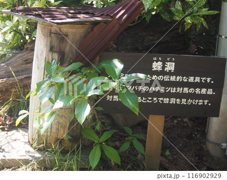 伝統的な道具、蜂洞 116902929