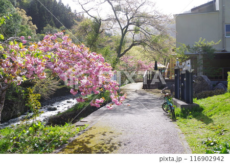 国民宿舎湯来温泉ロッジの散歩道 116902942