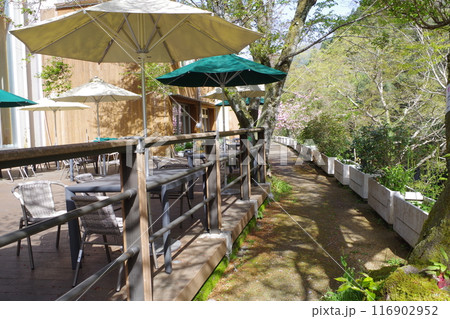 国民宿舎湯来温泉ロッジの散歩道 116902952