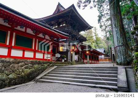 楼門 日本最古ともいわれる石上神宮(奈良県天理市) 楼門 日本最古ともいわれる石上神宮(奈良県天理市) 116903141