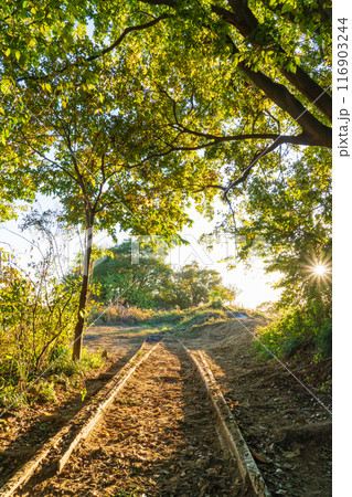 西武安比奈線跡 116903244