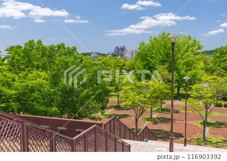西神中央公園の風景 神戸市西区西神中央にて 西神中央公園の風景 神戸市西区西神中央にて 116903392